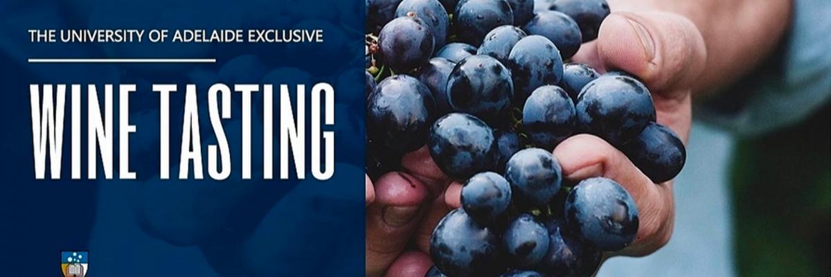 Wine tasting