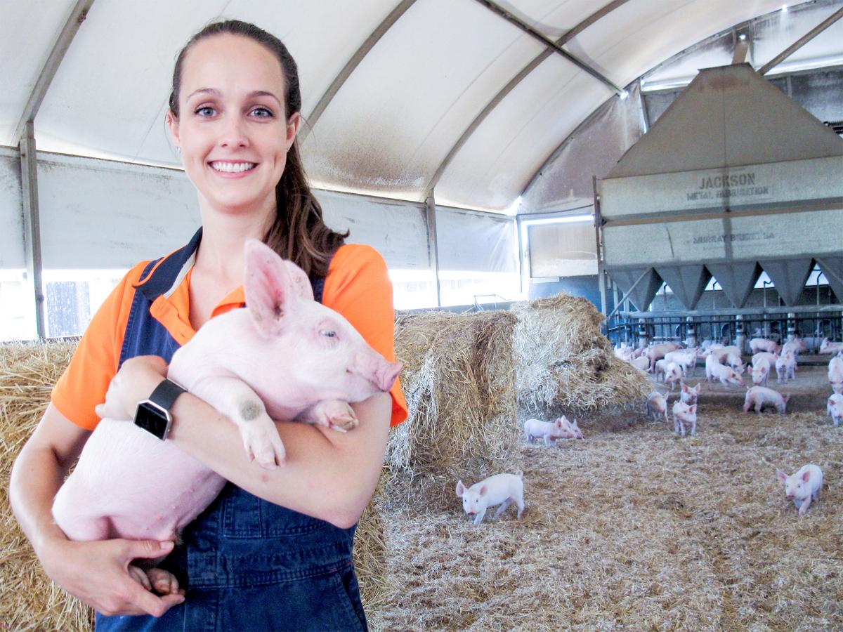 Honours in animal science