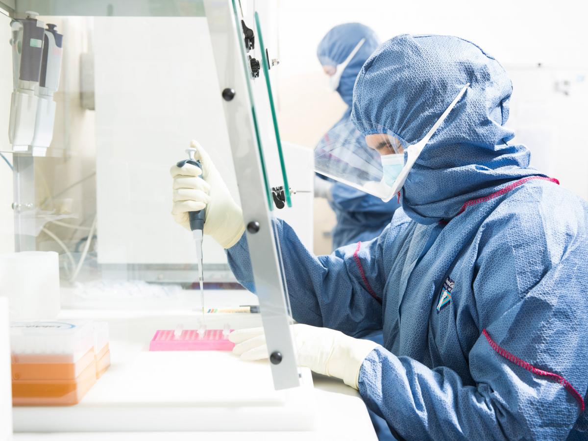 Evolutionary biology DNA testing