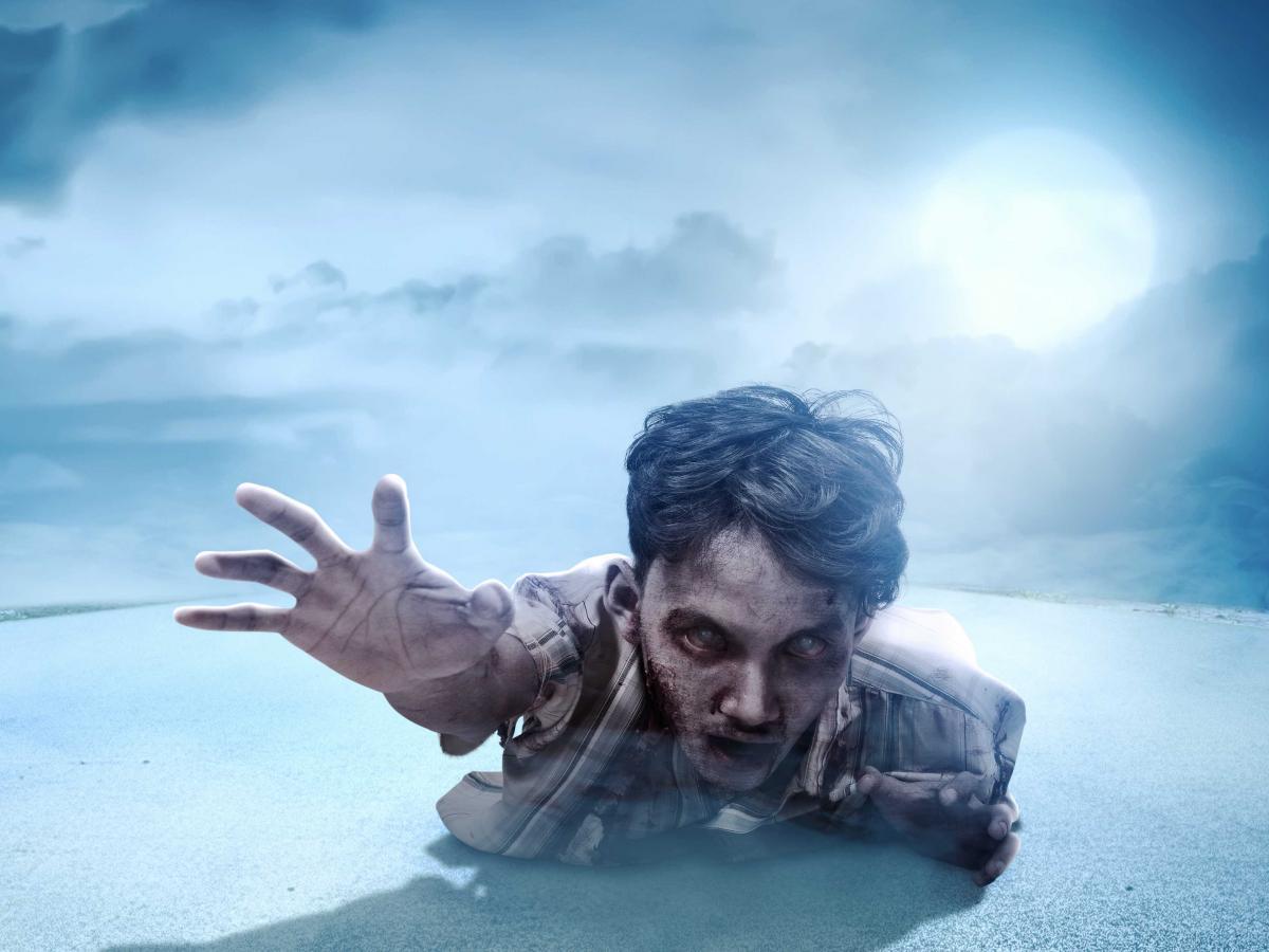 A 'zombie idea' is one that persists no matter how much evidence is thrown against it. Photo from iStock.