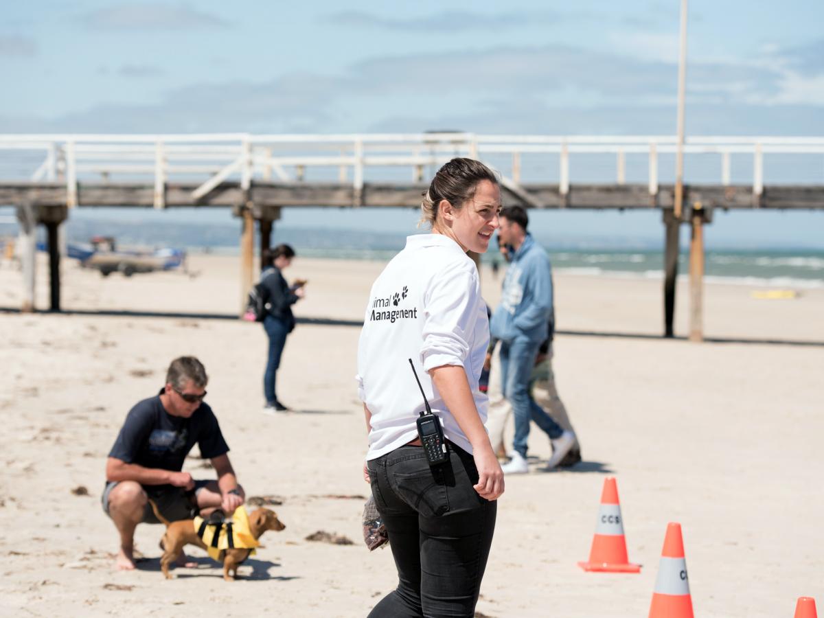 Dog beach patrol