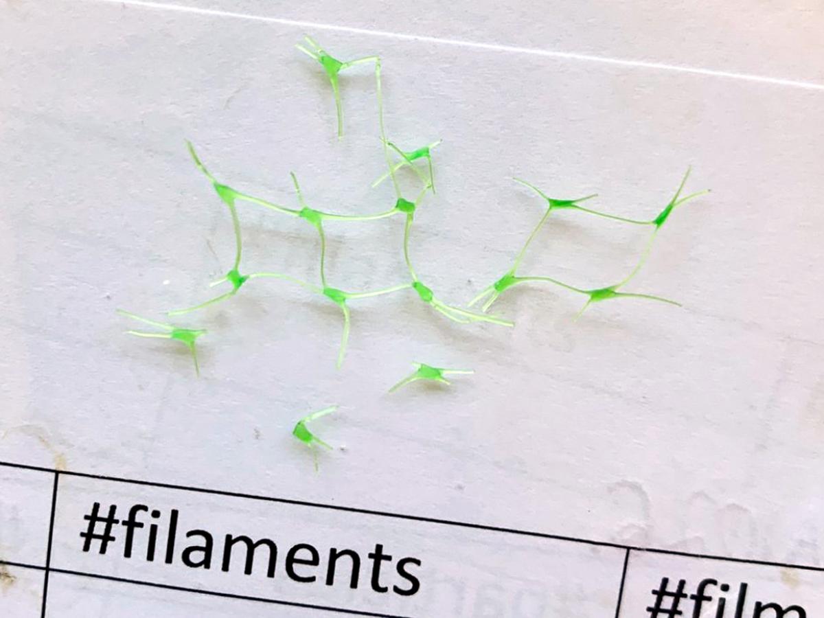 SA fish plastic filament