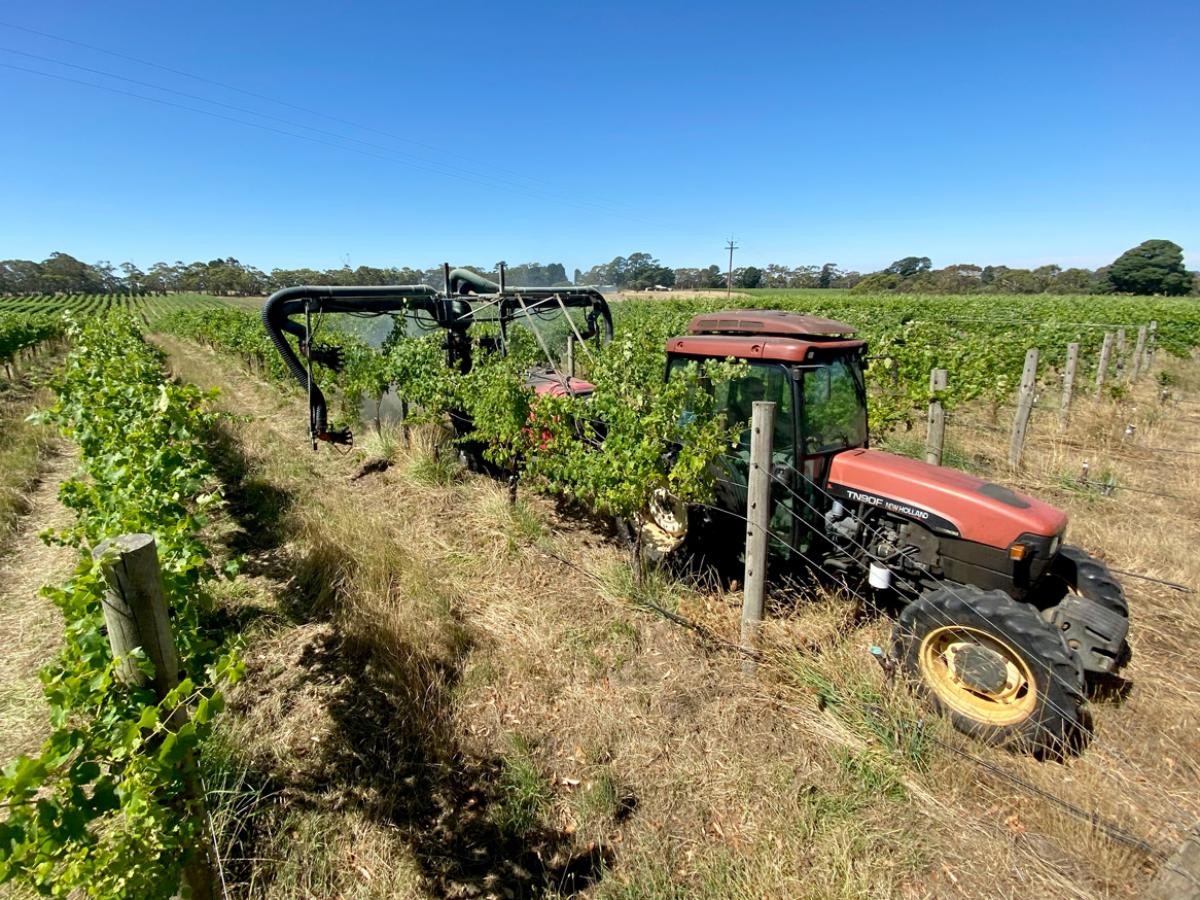 Vineyard spraying Adelaide Hills