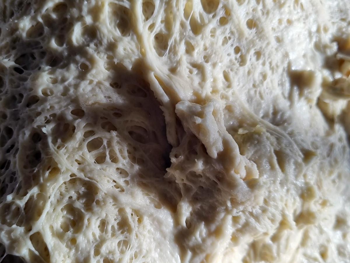The fermentation process of baking relies on yeast which produce ethanol and carbon dioxide (CO2) as the main metabolites. CO2 is responsible for rising our bread dough.