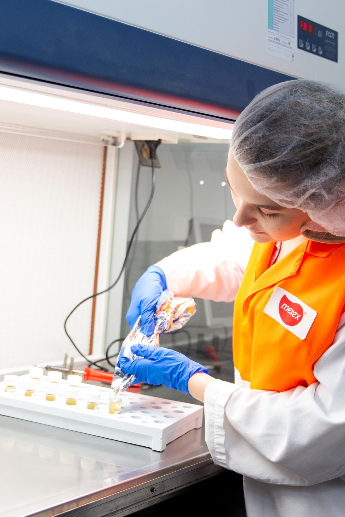 In their element | Food (science), glorious food (science): Millie Shinkfield