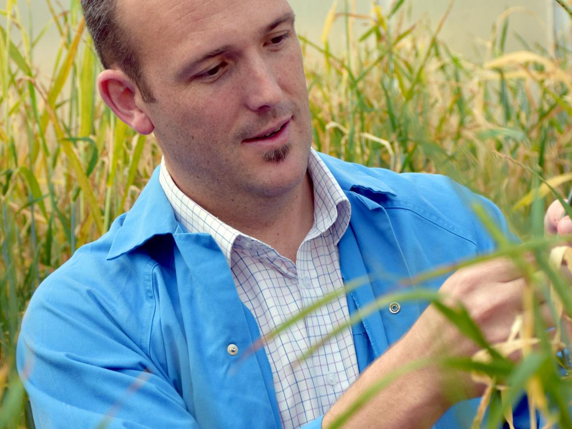 School of Agriculture, Food and Wine researcher Associate Professor Matthew Tucker.