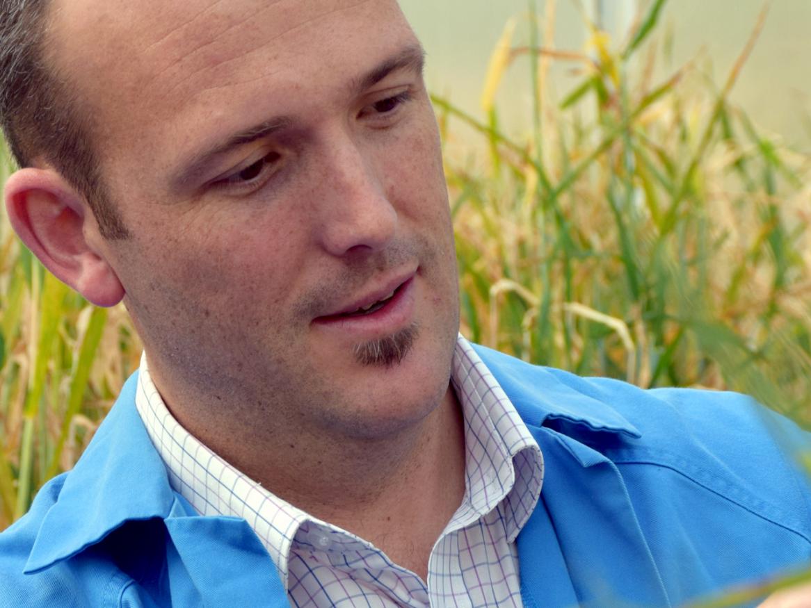 School of Agriculture, Food and Wine researcher Associate Professor Matthew Tucker.