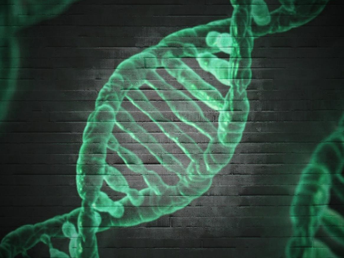 DNA image