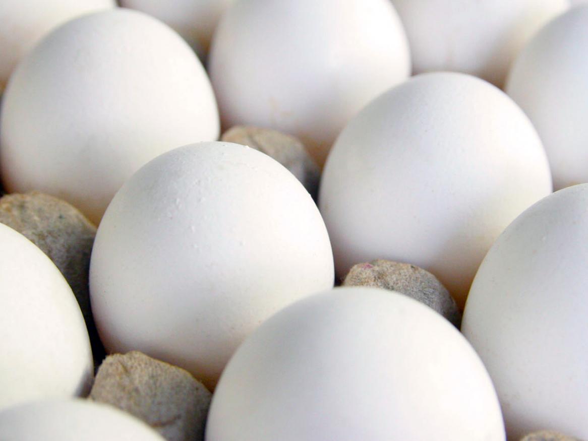 Cracking the secret of omega-3 enriched eggs