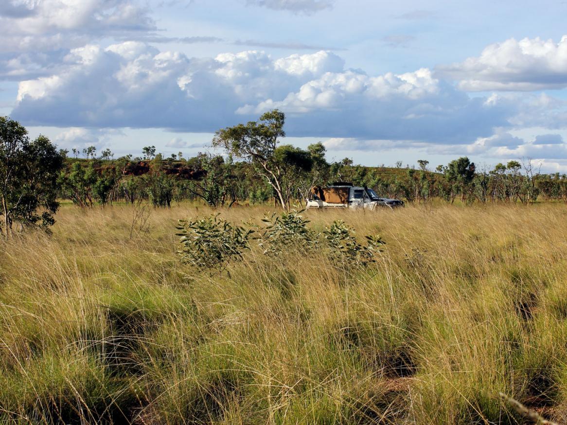 Explaining the history of Australia’s vegetation