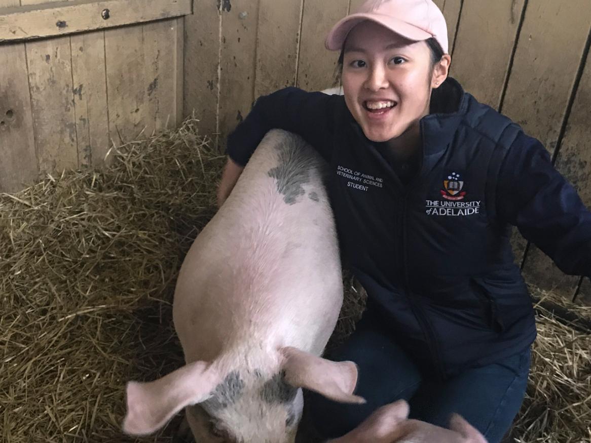 School of Animal and Veterinary Sciences student Molly Oshiro