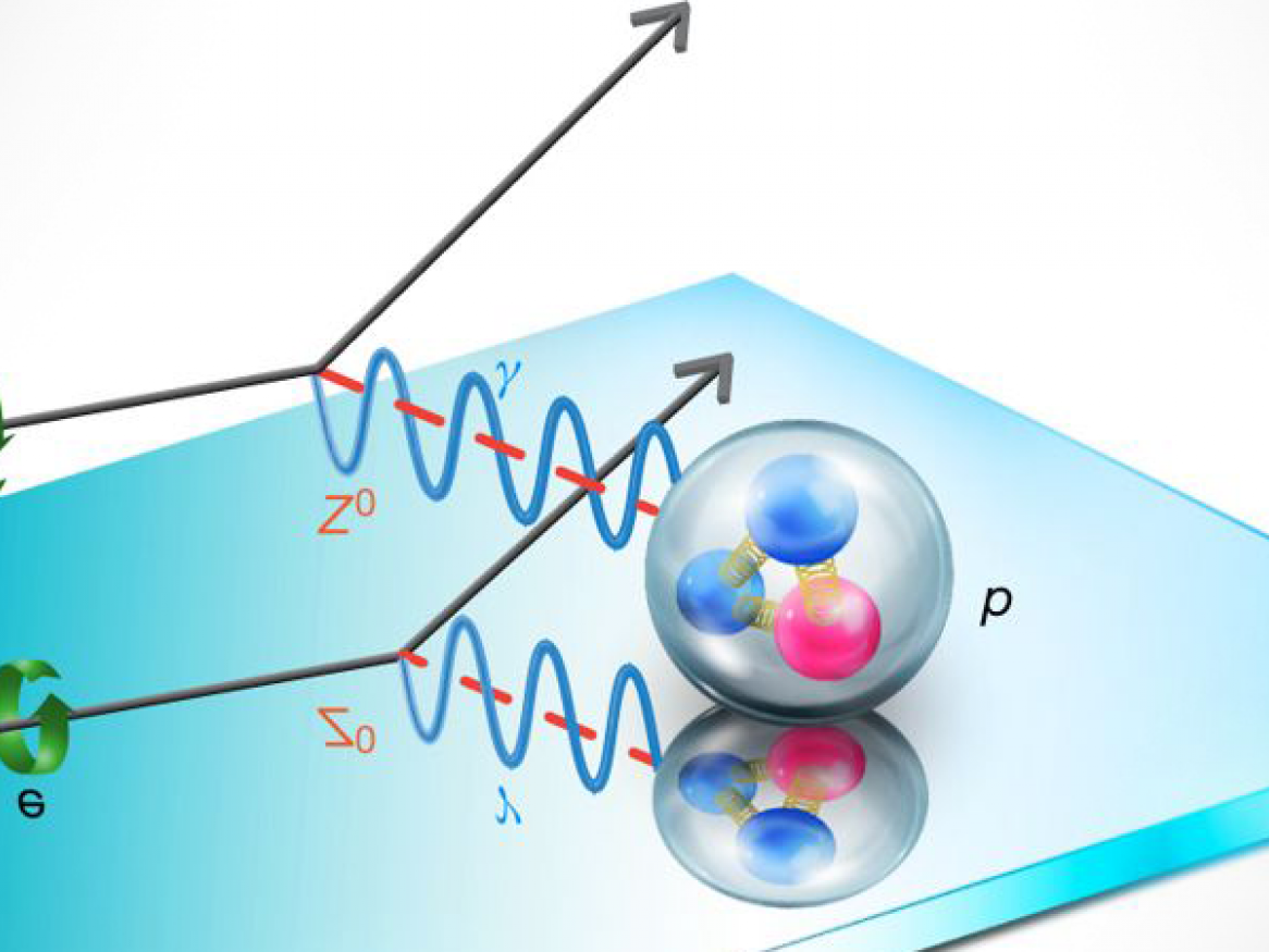 Physicists charge ahead with proton discovery - Parity-violating electron scattering from the proton