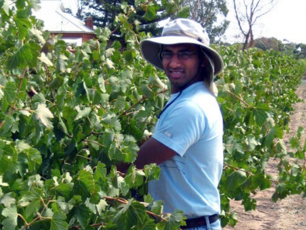 Dr Vinay Pagay, lecturer in viticulture and vineyard engineering