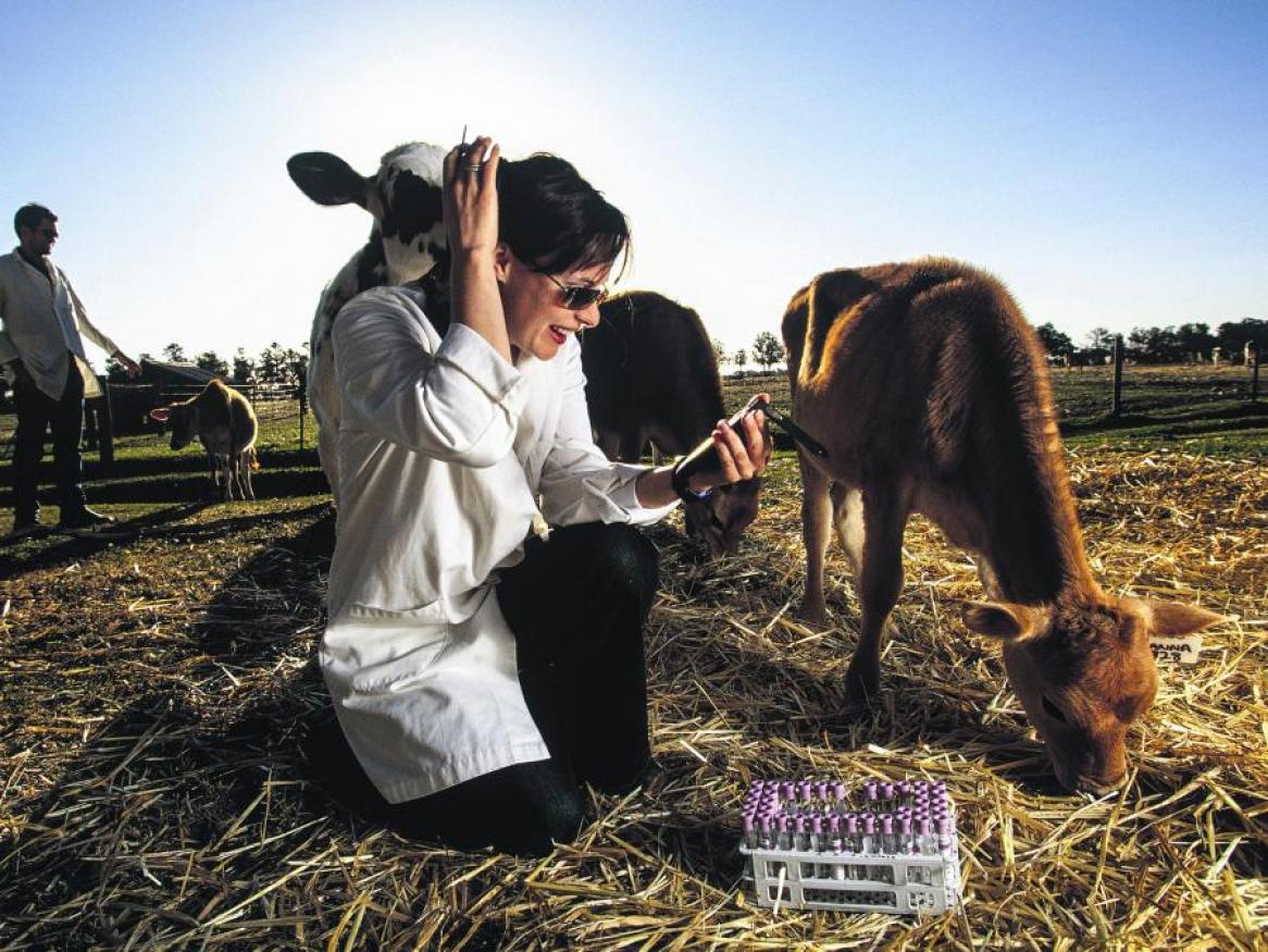 Animal and veterinary science