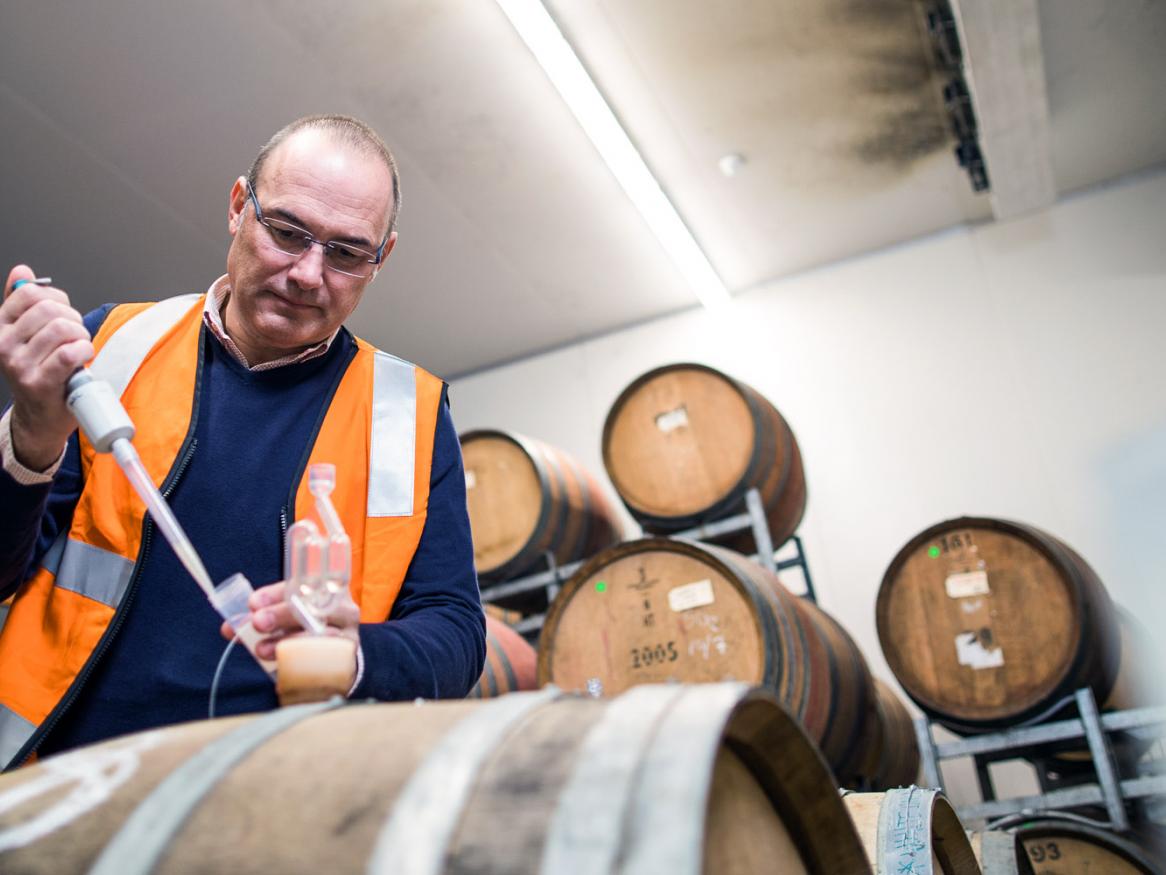 Professor Vlad Jiranek, Oenology