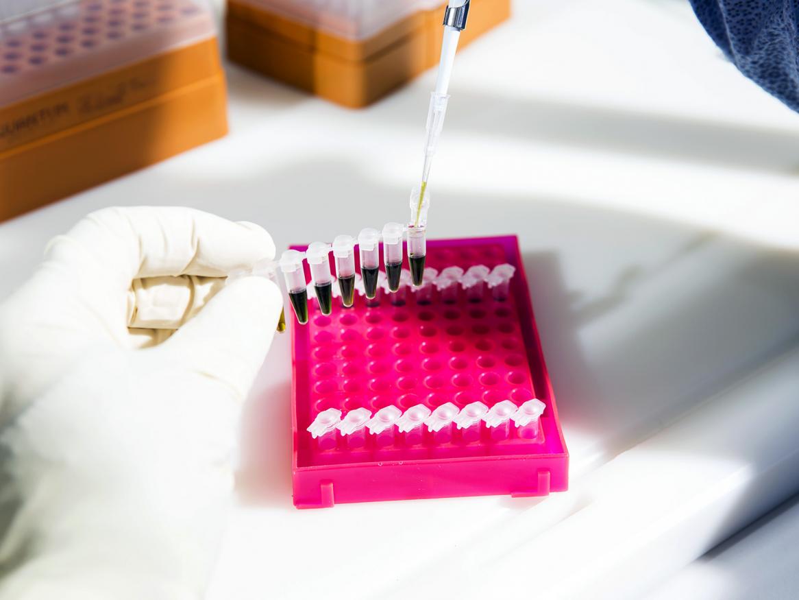 ADIFF dna testing 2