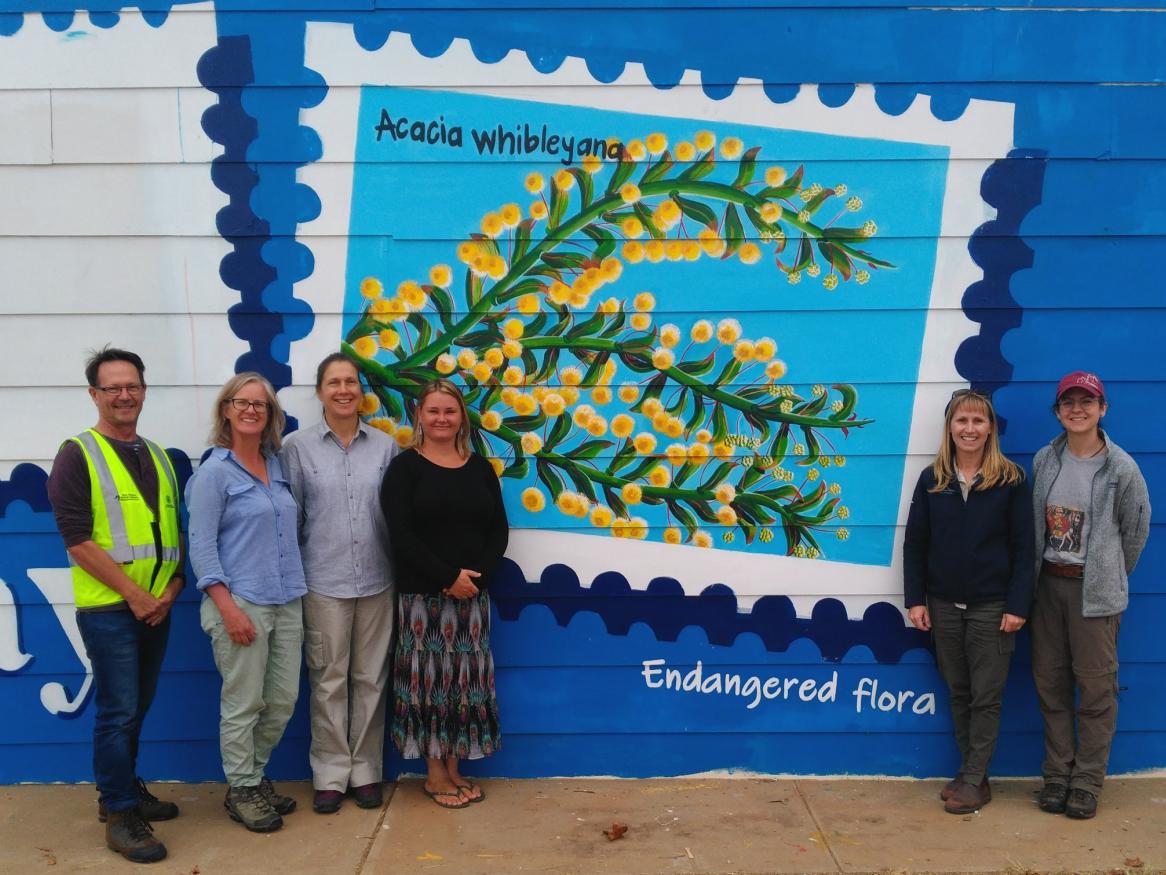 Tumby Bay street art