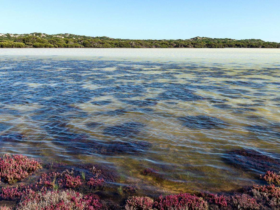 Coorong National Park - water research