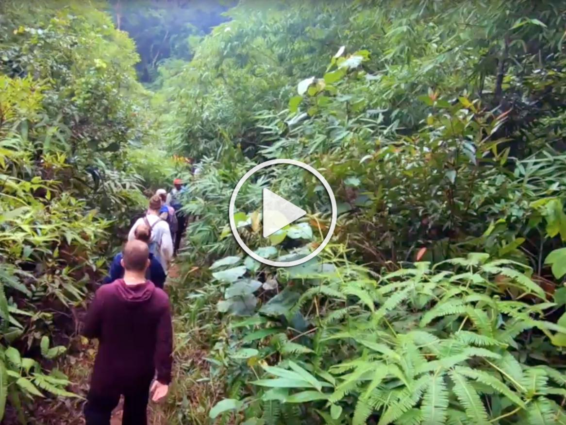 Study overseas - Deep water deep jungle