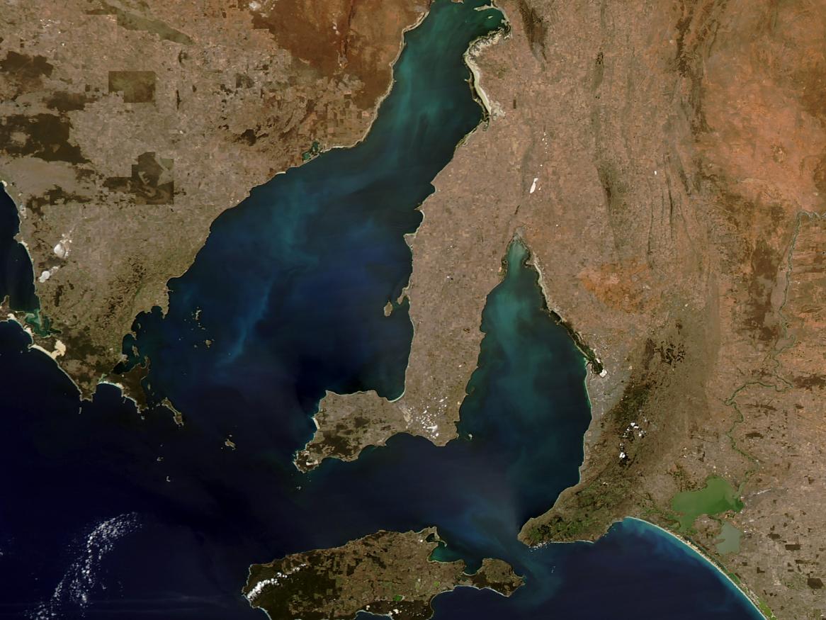 Colorful blue-green water off the coast of South Australia. The striking colors could be due to sediment brought to the surface when strong winds churn shallow waters. Courtesy: NASA