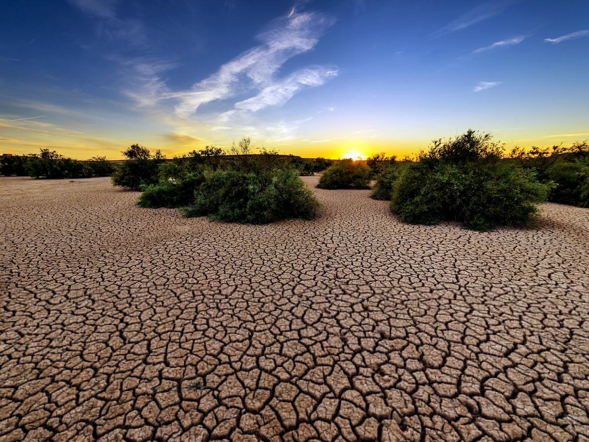 Climate change - drought image