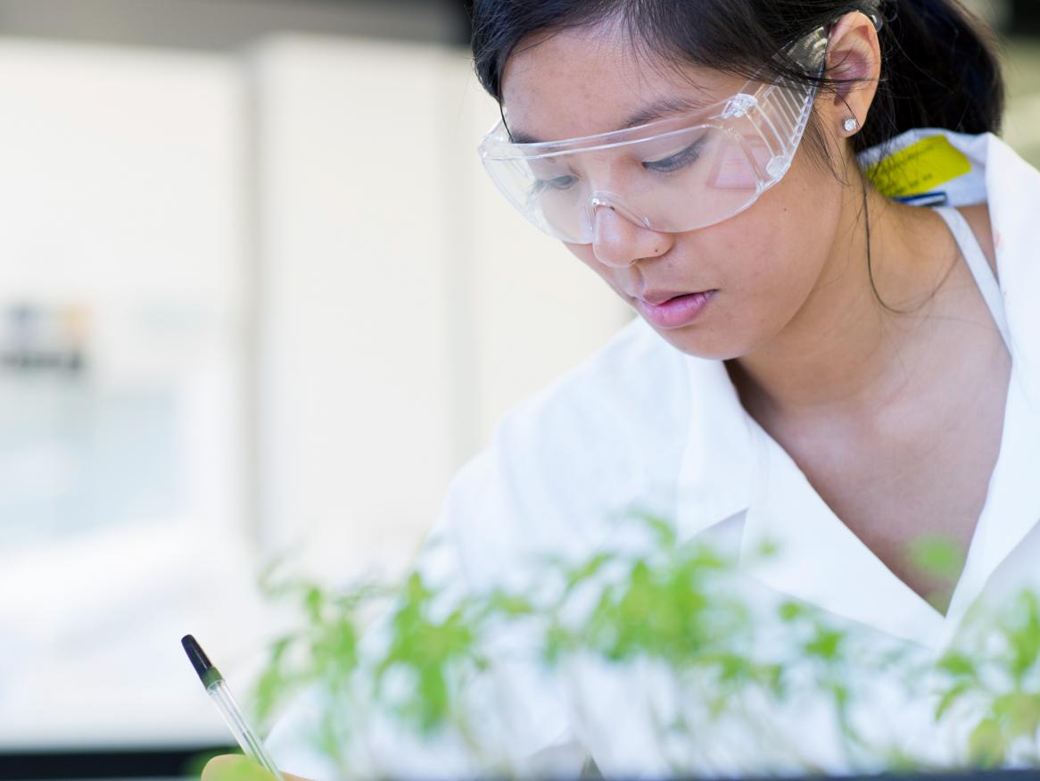 Plant science laboratory work