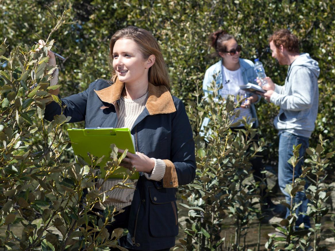 Plant research