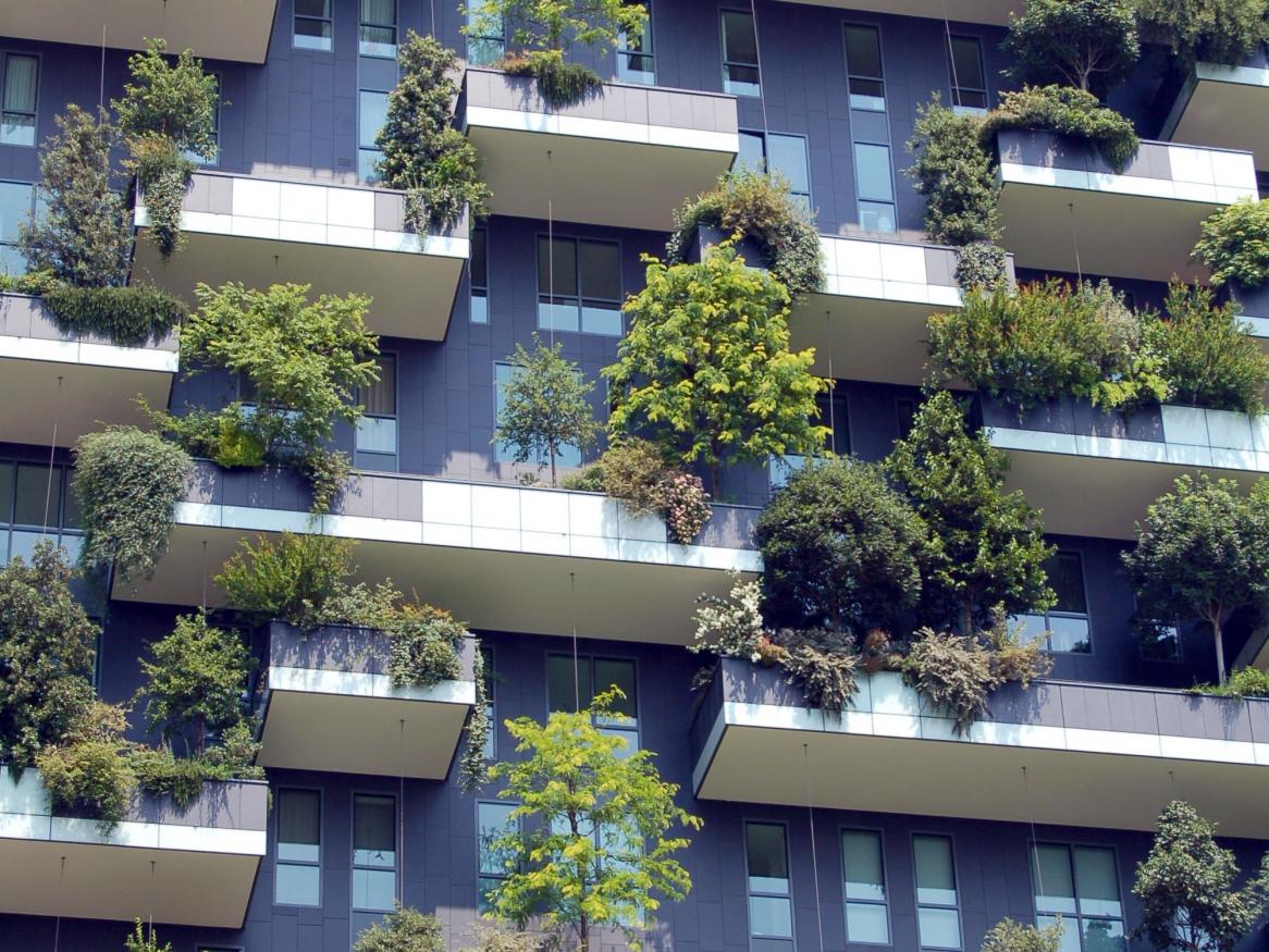 Urban rewilding