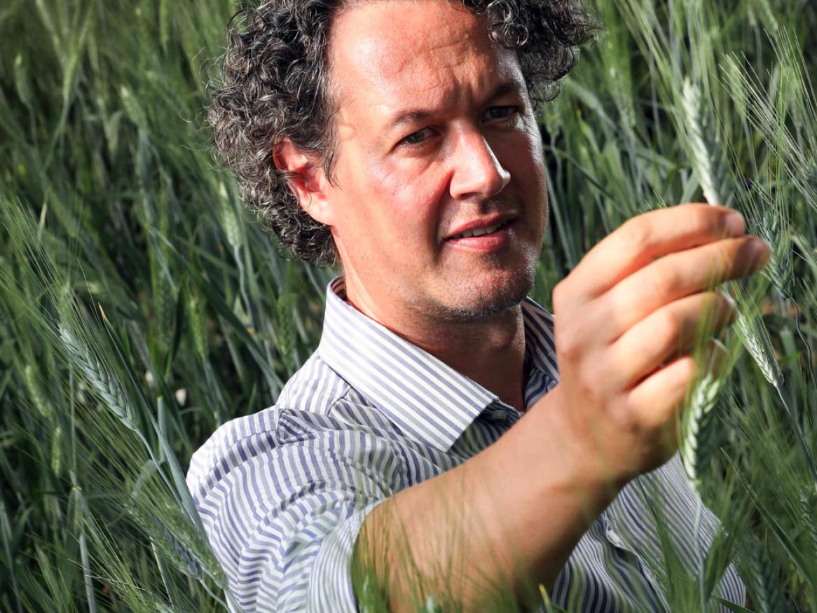 Professor Andy Lowe