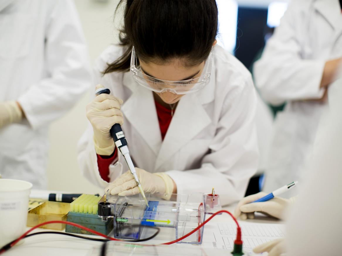 Study biomedical science