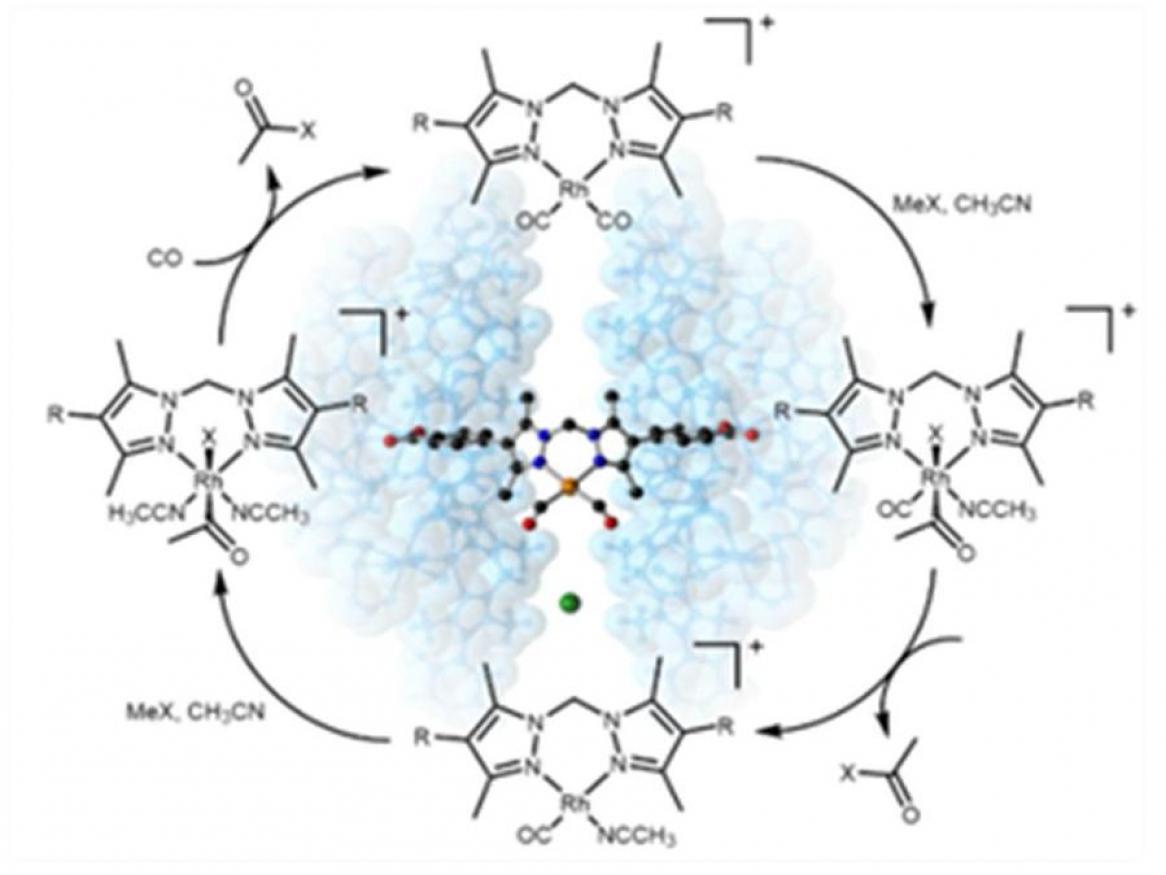 Chris Sumby Catalysis Figure