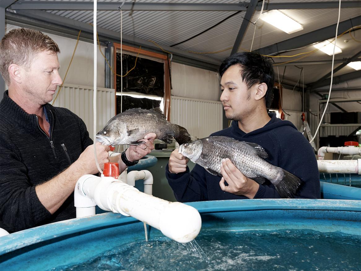 Aquaculture