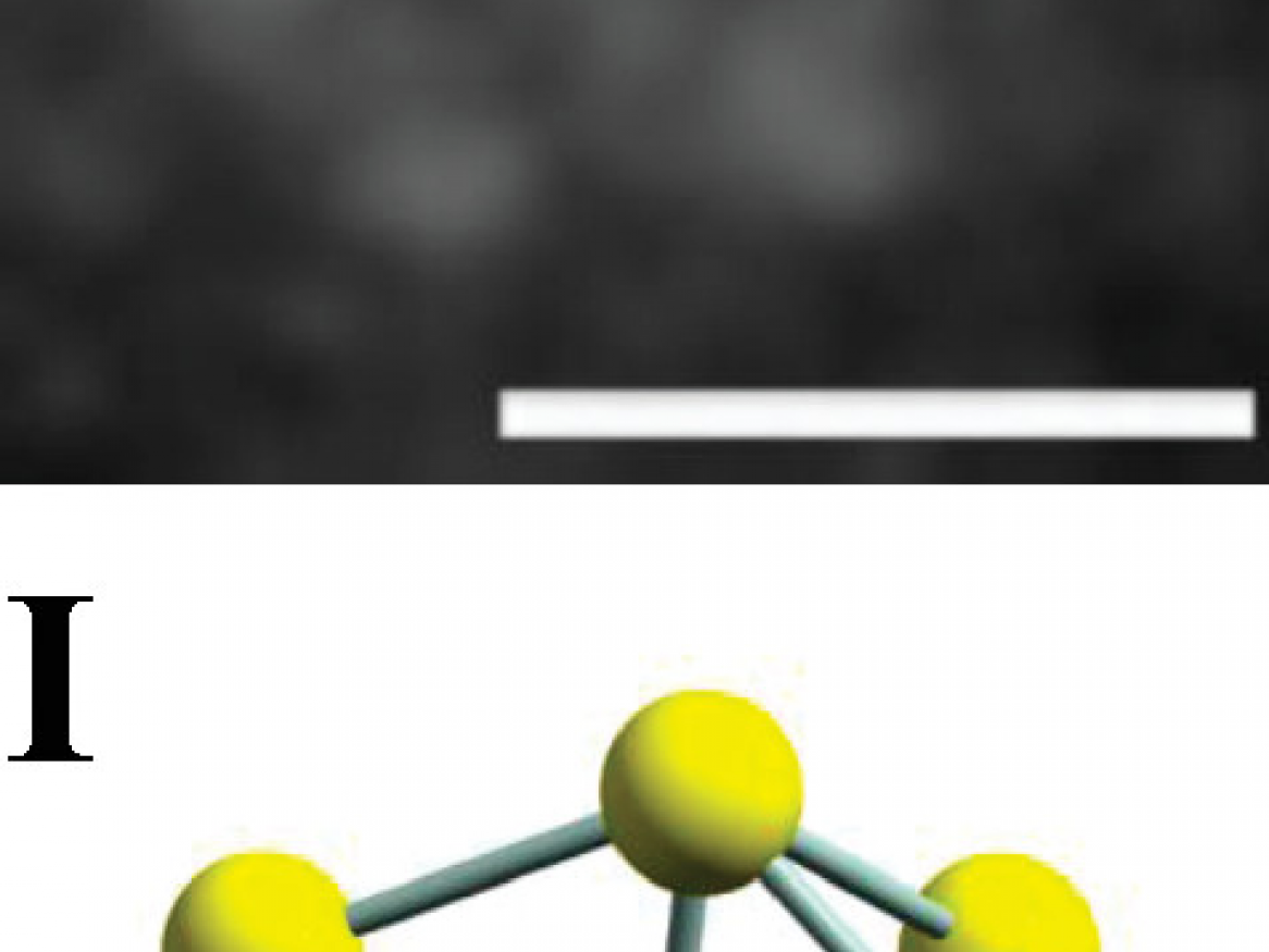 Figure shows the HR-TEM image of the Au9 cluster deposited on a titania nanosheet. Scale bar is 0.5 nm