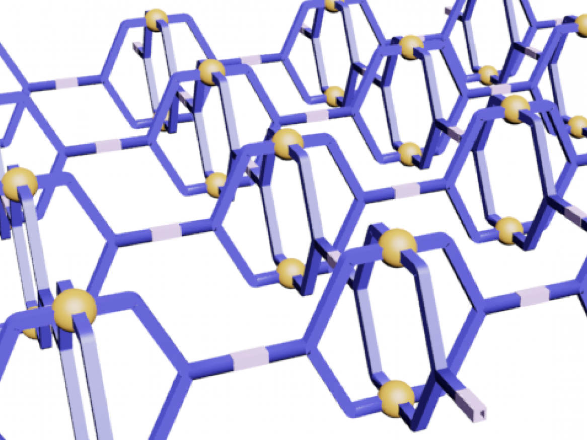 Witold Bloch supramolecular cages