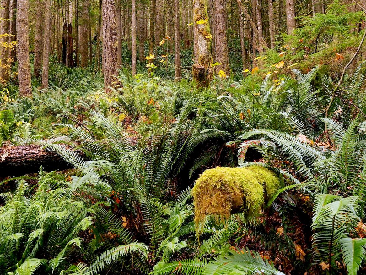News biodiversity
