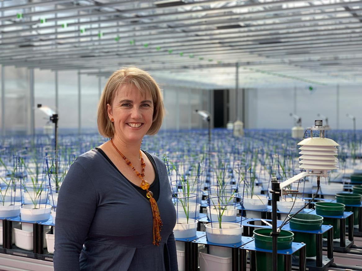Susie Robinson Australian Plant Phenomics Facility