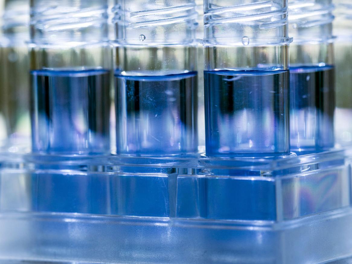 Test tubes