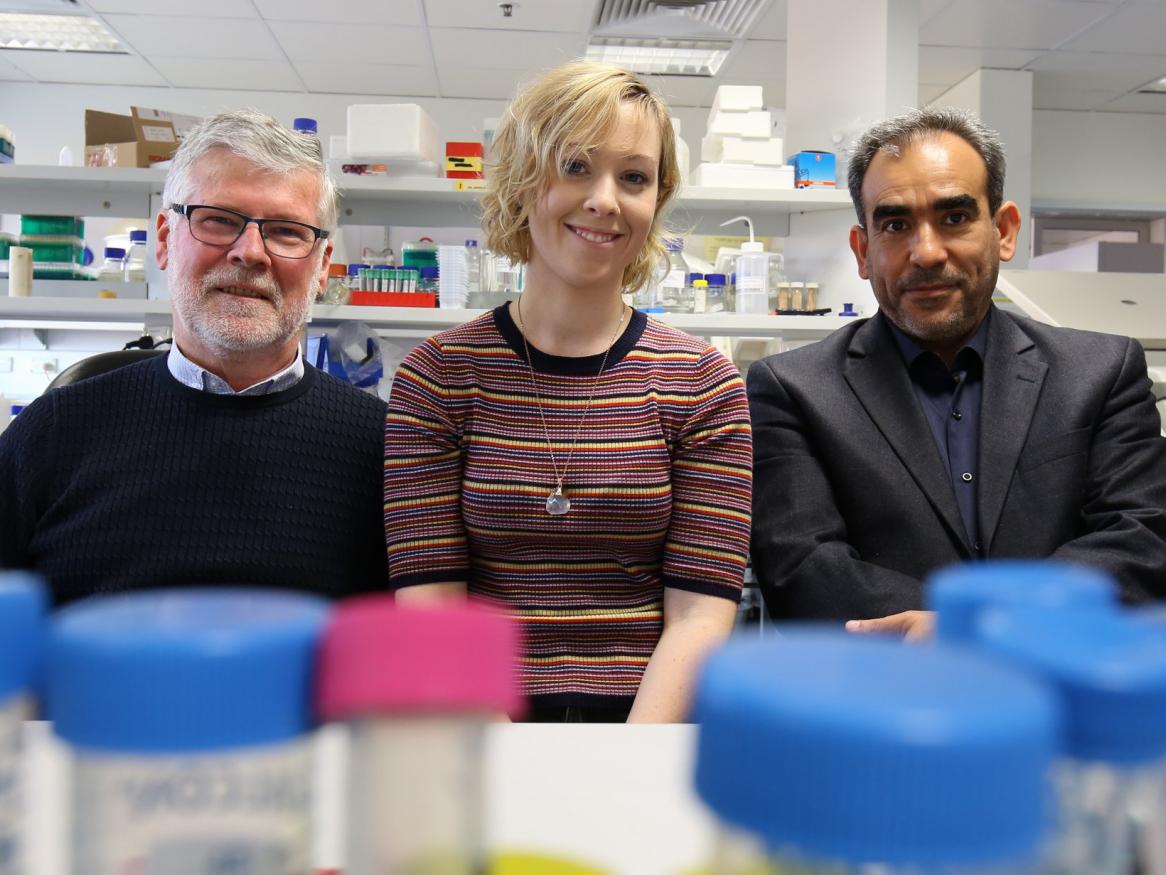 Pictured are researchers Professor James Paton, and Drs Shannon David and Mohammed Alsharifi