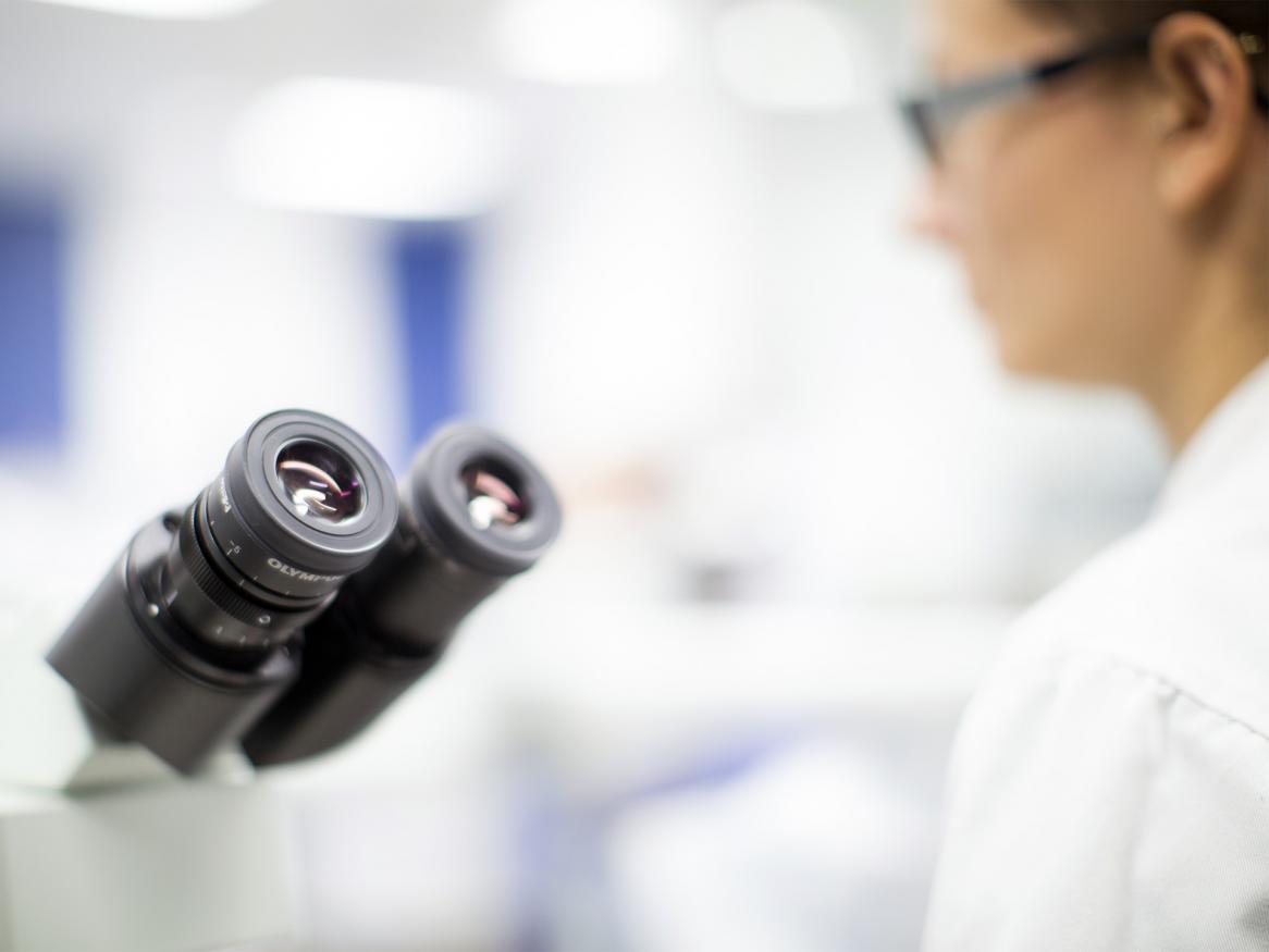 Veterinary School microscope