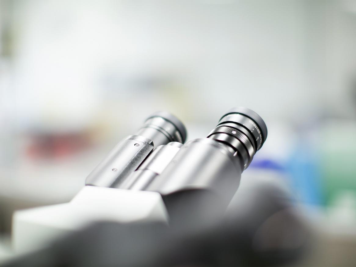 Veterinary School microscope