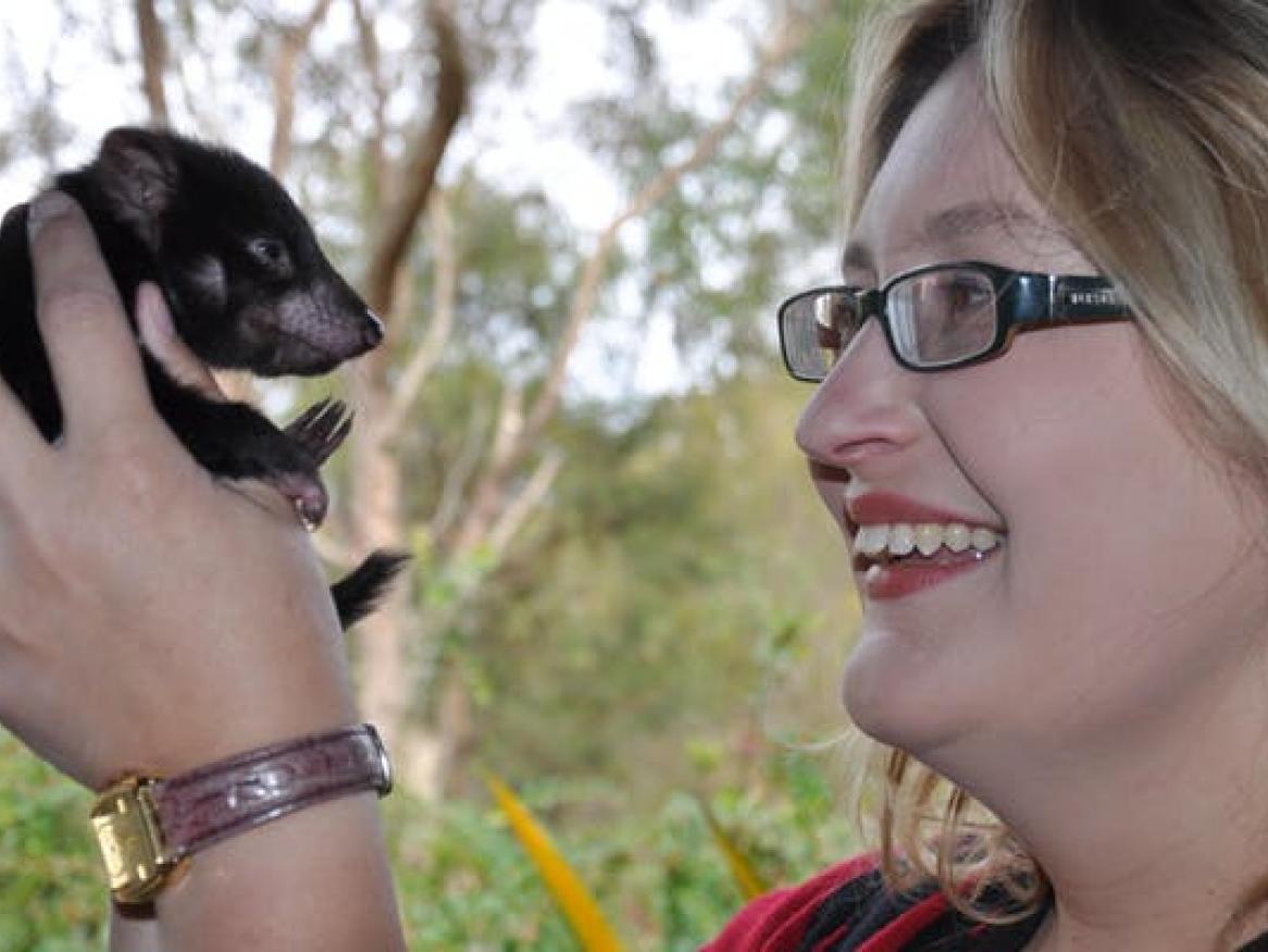 Prof Kathy Belov AO Tasmanian Devil