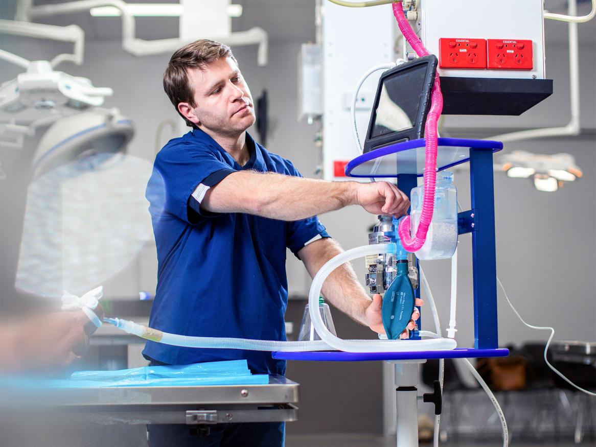 Veterinary technology