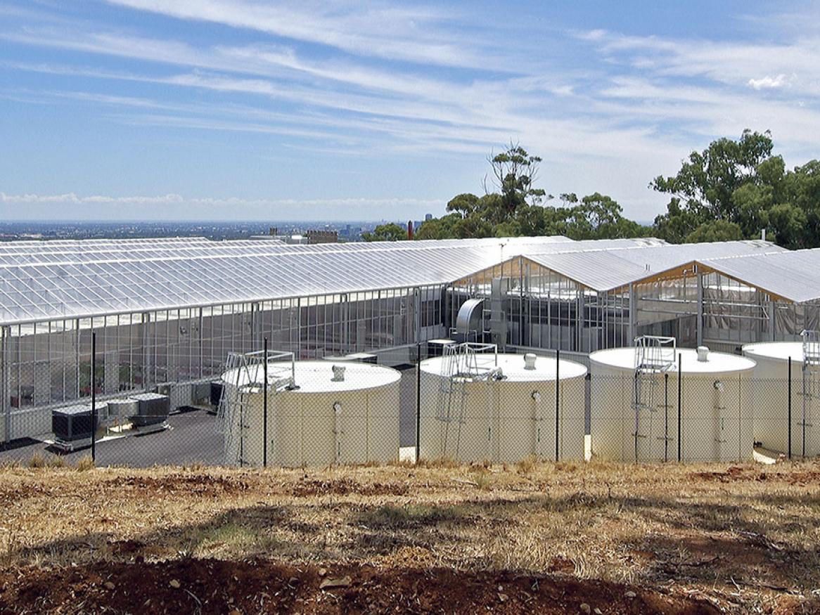 Plant Accelerator, Waite campus