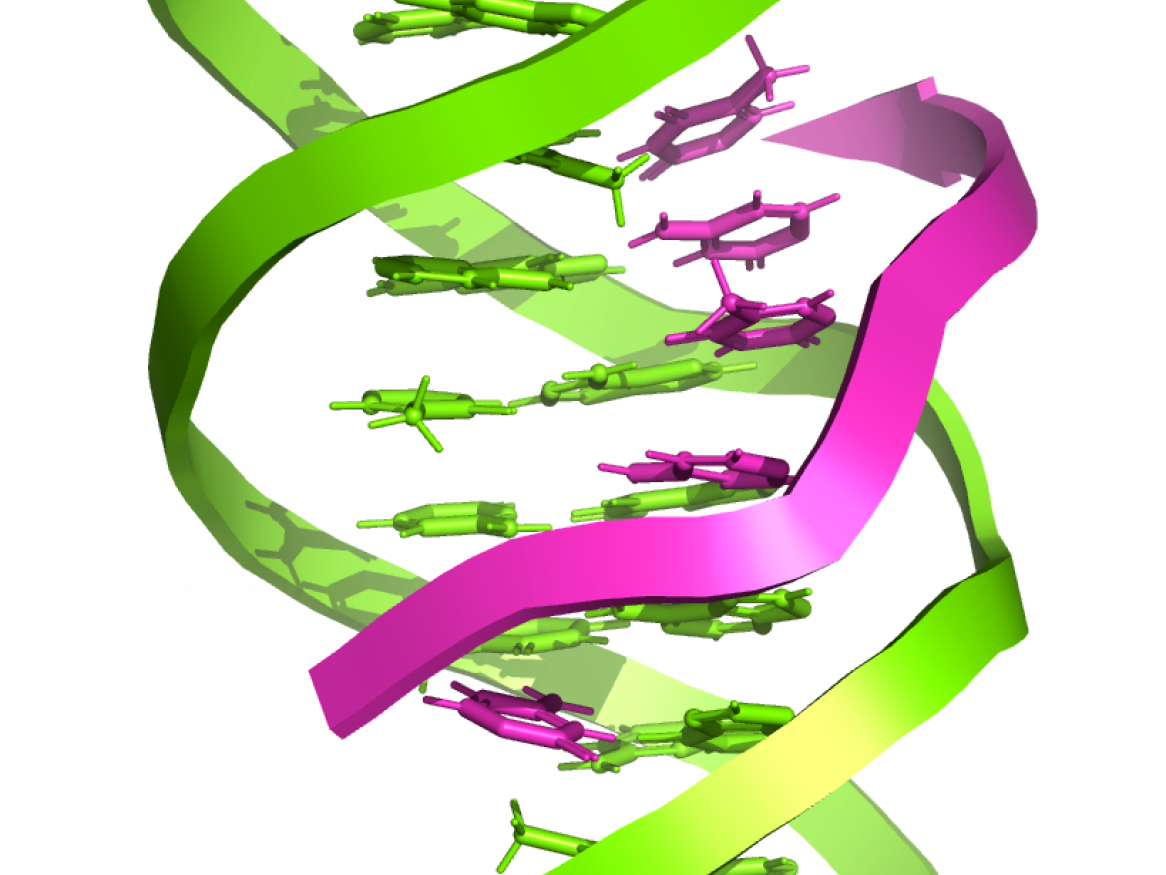 Tara Pukala TripleX DNA