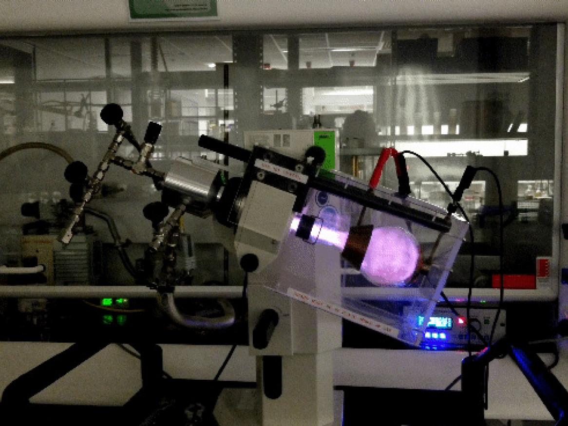 Improving food safety using plasma sterilisation