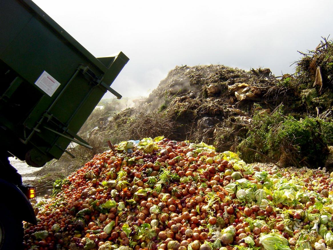Food being dumped, that could have been used in alternative ways