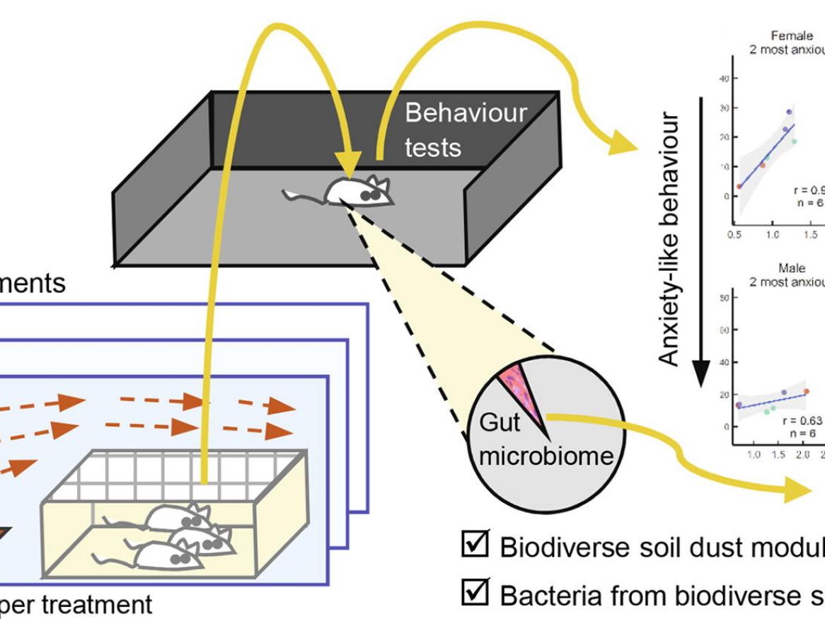 Naturally-diverse airborne environmental microbial exposures modulate the gut microbiome and may provide anxiolytic benefits in mice