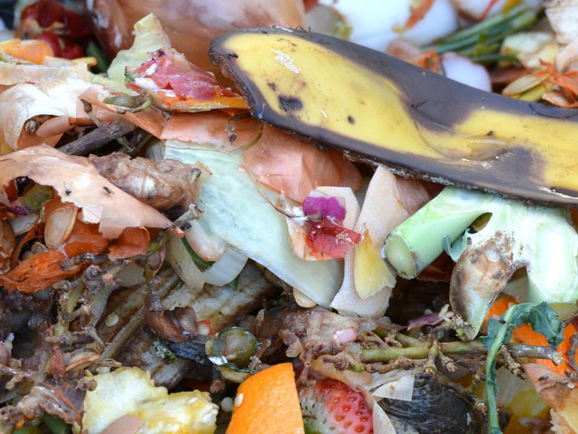 Compost image by Ben Kerckx from Pixabay 