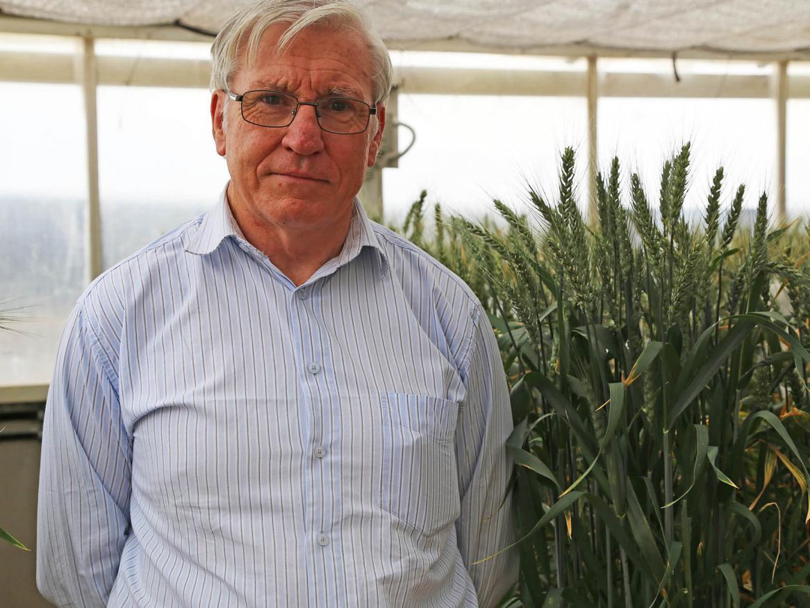 Associate Professor Glenn McDonald