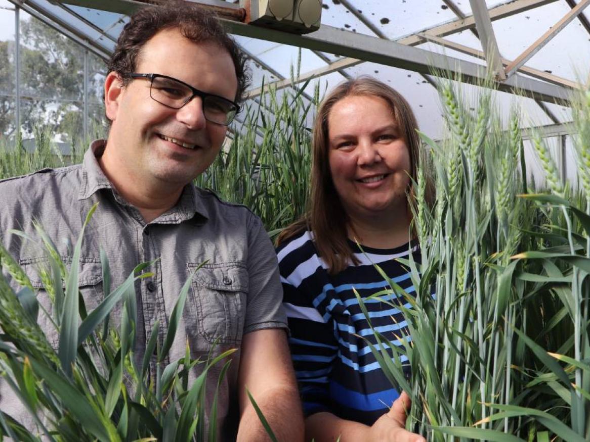The University of Adelaide's Associate Professor Stuart Roy and SARDI's Dr Rhiannon Schilling are looking for opportunities to better understand soil and crop variability in sodic and saline soils. Image: Katherine Hollaway, GRDC